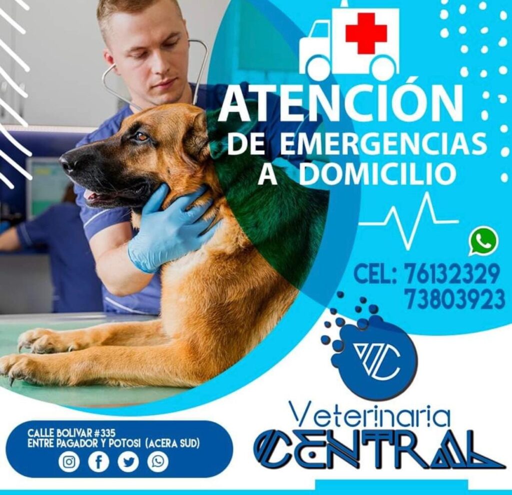 96789234_144325867173787_1442869618568855552_n