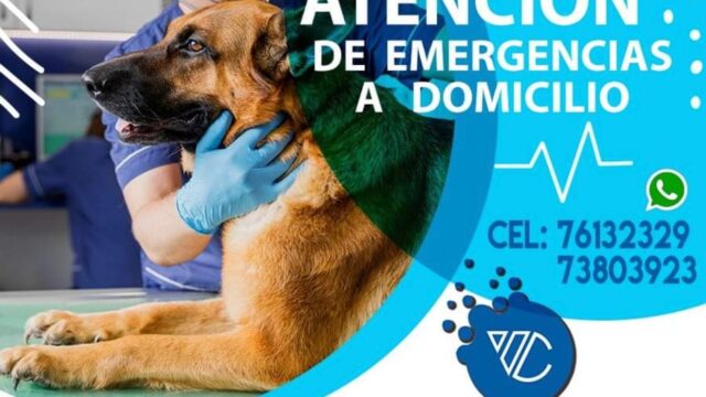 96789234_144325867173787_1442869618568855552_n