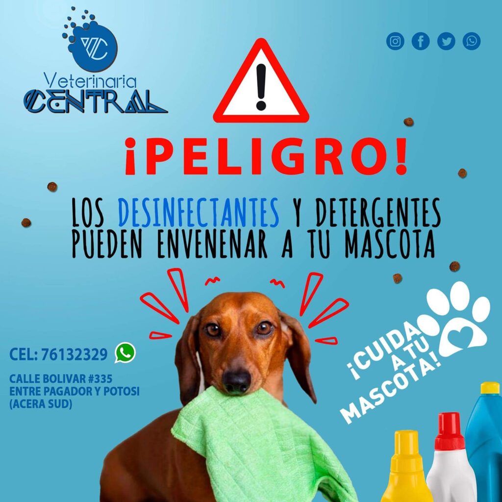 99136362_144839630455744_2276512677549309952_n