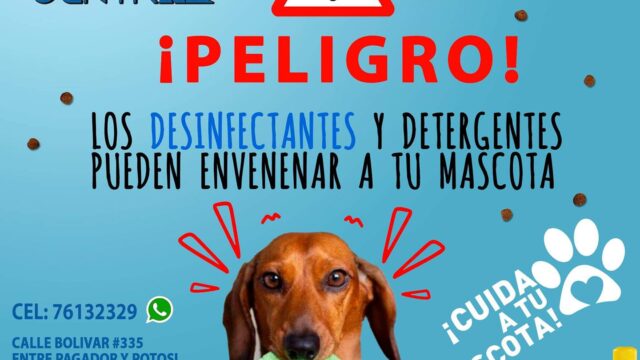 99136362_144839630455744_2276512677549309952_n