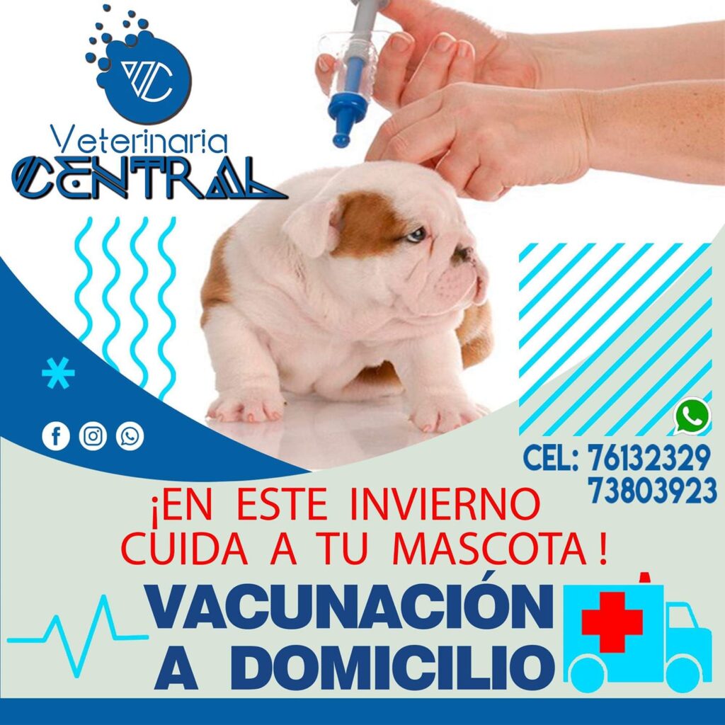 99355618_147907343482306_2941049576867495936_n