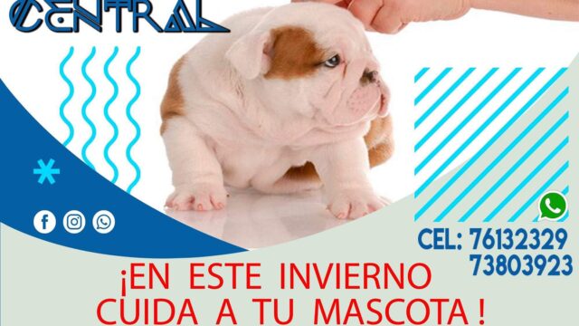 99355618_147907343482306_2941049576867495936_n