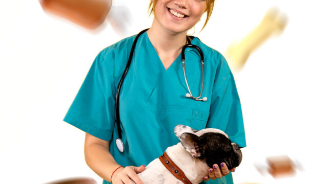 Auxiliar-Veterinaria-2