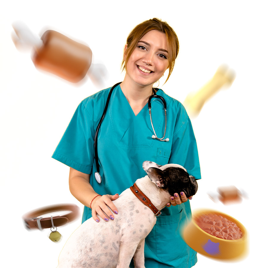 Auxiliar-Veterinaria-2