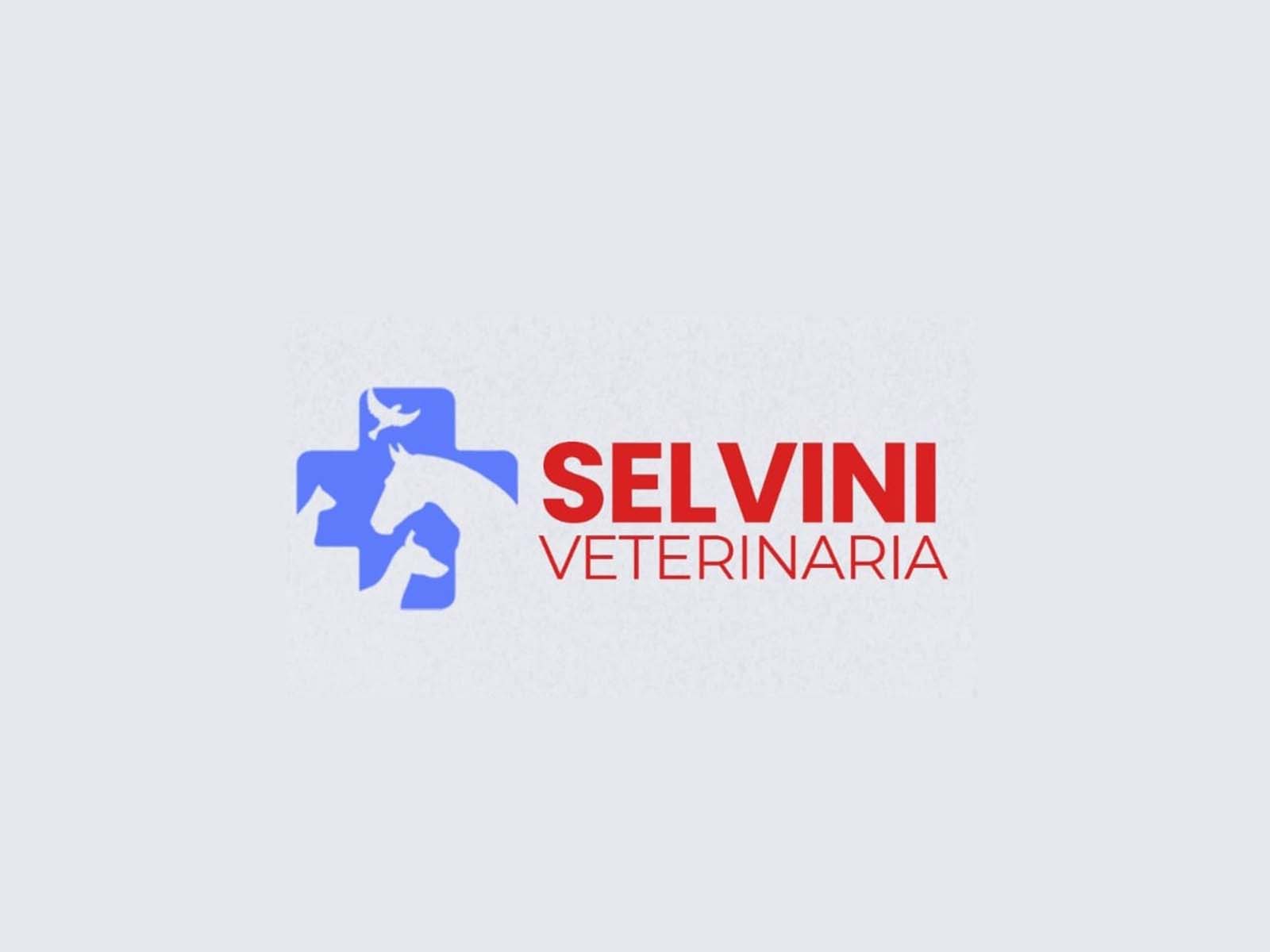 logo selivni