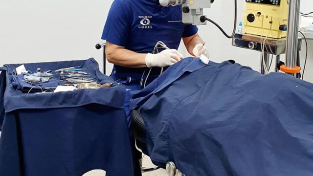 130006427_3862884240462668_5615113955514138525_n