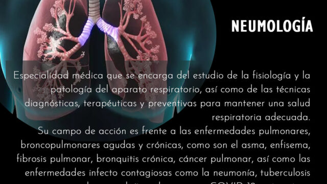 162163467_246467280275003_369605320595113953_n