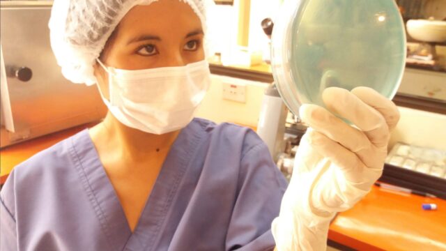 30629870_1380312255439437_2329303353240059904_n