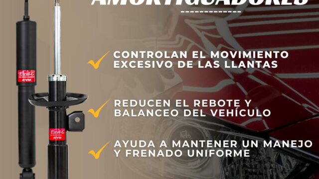 469552935_122173355828113040_4738956596063654810_n