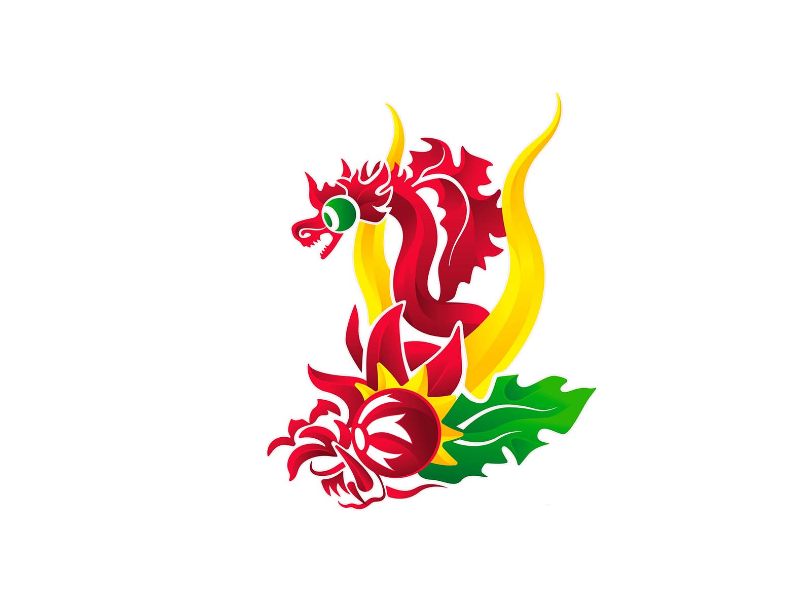 477794657_122185100372057857_1101900173747752481_n