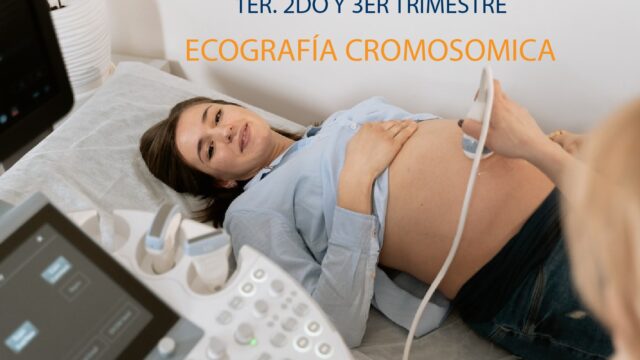 484805737_1205982034863172_2095557050663174981_n