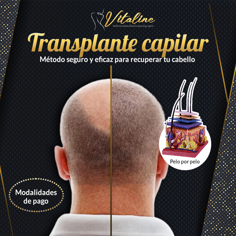 489481141_1231982705603872_3605352016294747144_n