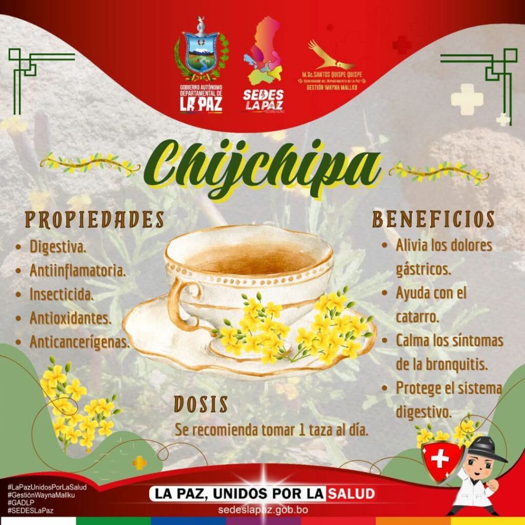 493730605_122097324956920098_4823797124427467200_n