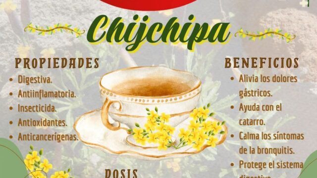 493730605_122097324956920098_4823797124427467200_n