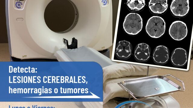 495027456_1250656693729039_4476063400986878360_n