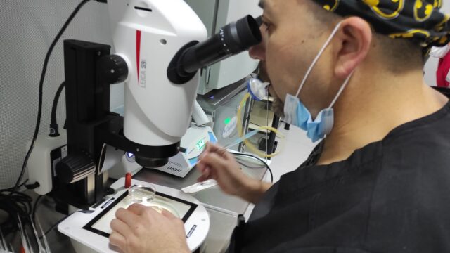 495578590_1258270166301025_3500294570347769363_n