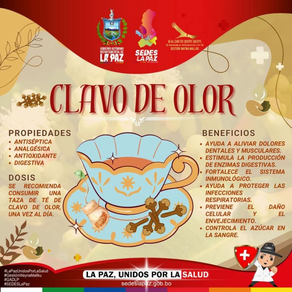 499801656_122097325580920098_8326040922106092042_n