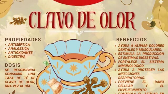 499801656_122097325580920098_8326040922106092042_n