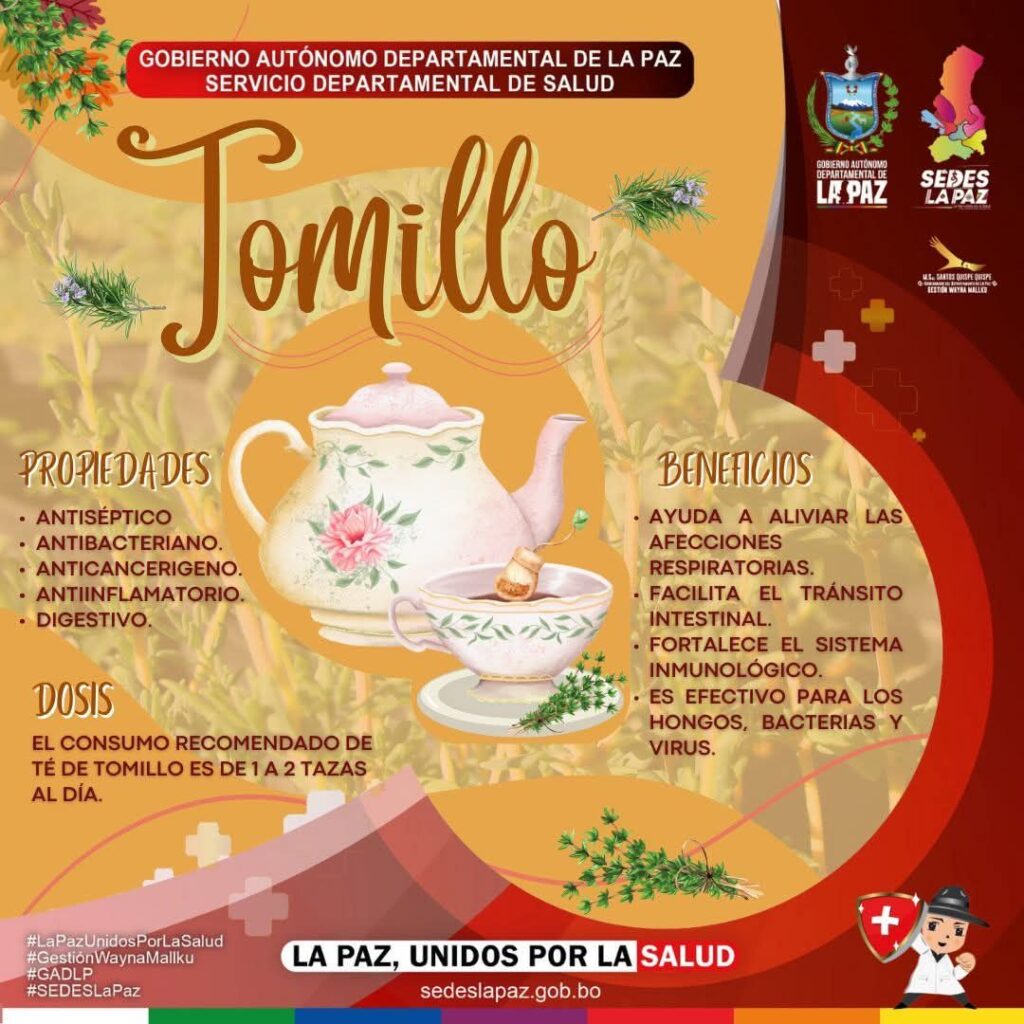 501088525_122097329906920098_7078972055561051469_n