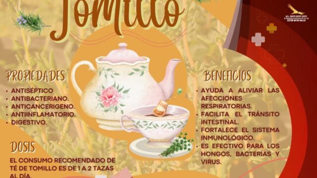 501088525_122097329906920098_7078972055561051469_n