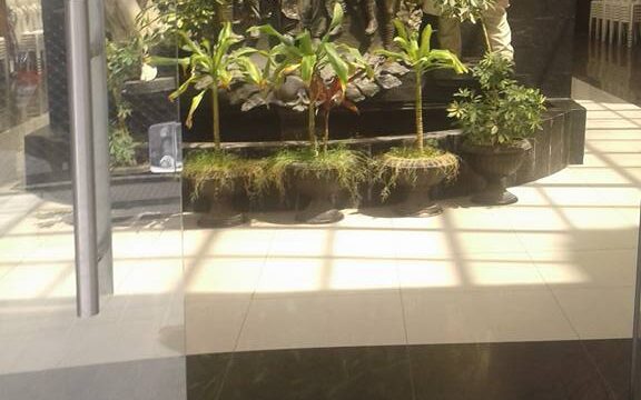 504747394_3105721156244580_5706582574716216258_n