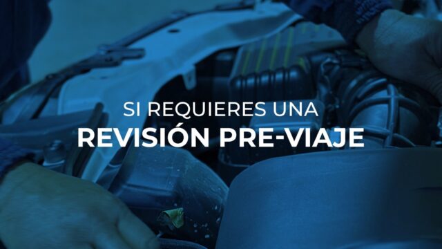 554431499_122213708252255878_1445291514601154775_n