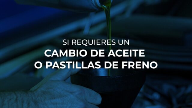 554992391_122213708282255878_3650147976301675233_n