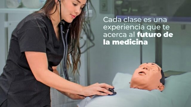 601001454_1298040802347284_3611260808320729205_n