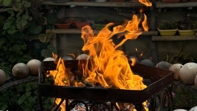 616083506_1292990506182521_3016977228850928610_n