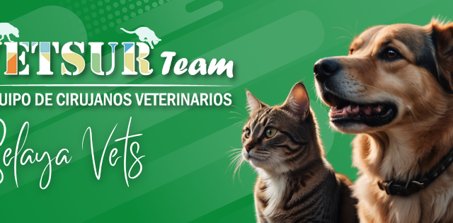 473758905_1393909848713286_4835795852370283284_n