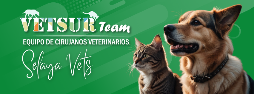 473758905_1393909848713286_4835795852370283284_n