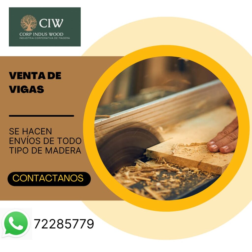 480645418_566719519747453_1291998324310842891_n