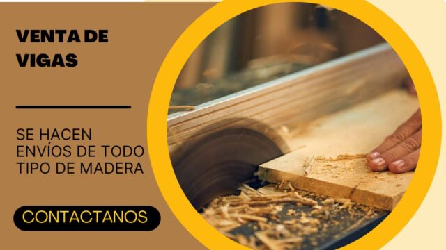 480645418_566719519747453_1291998324310842891_n