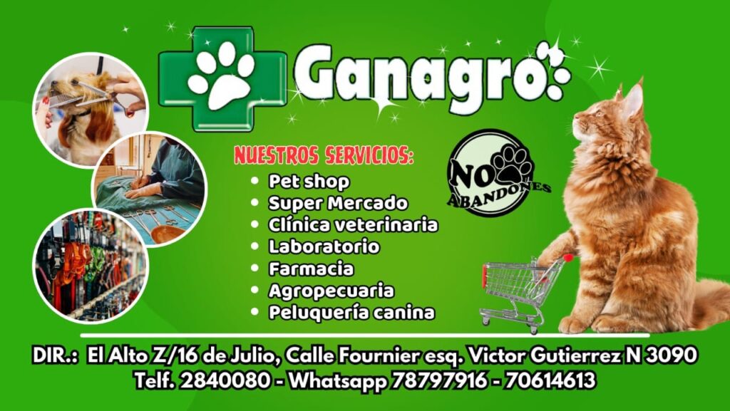 490001253_1227922226009629_2997445361408491989_n