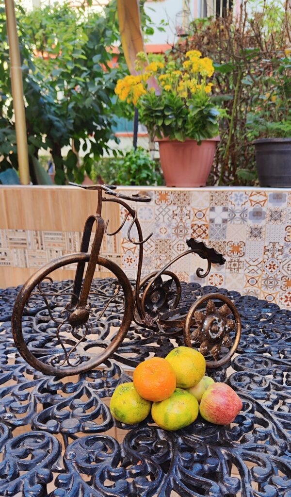 490165285_1217712813691849_1131238575940598722_n