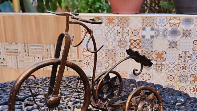 490165285_1217712813691849_1131238575940598722_n