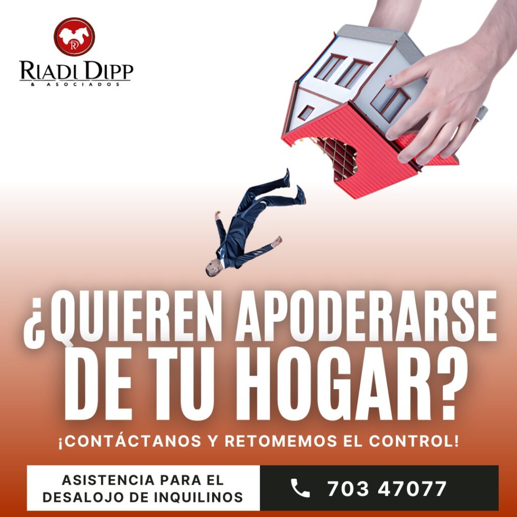 493740131_1241391651320360_4671196546557295488_n