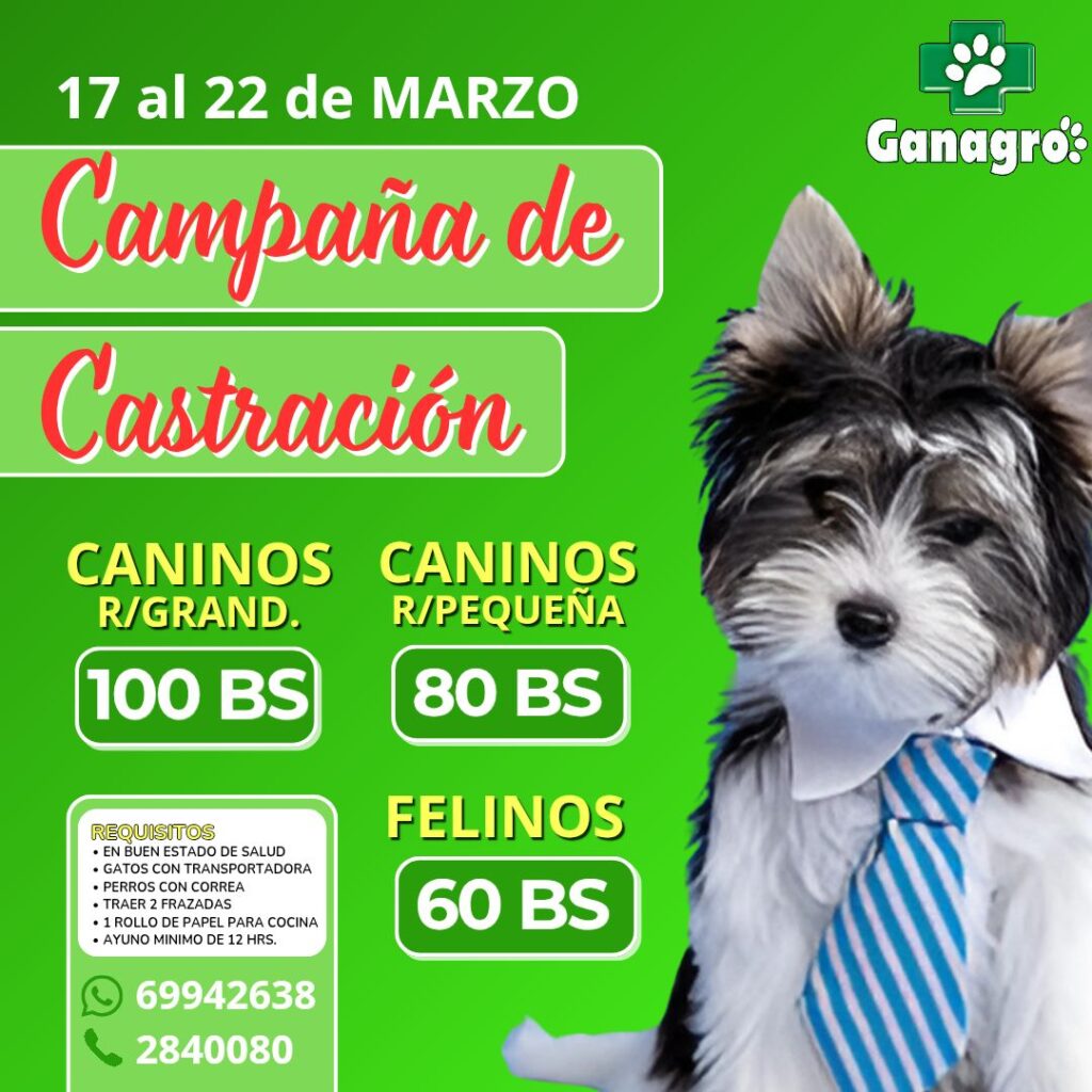 495711606_1253868670081651_4448435165352803996_n