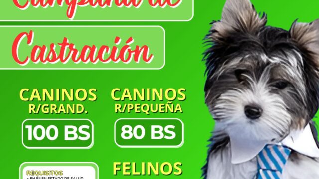 495711606_1253868670081651_4448435165352803996_n