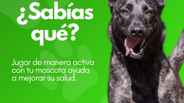 497190800_1256317053170146_7770971290931164027_n