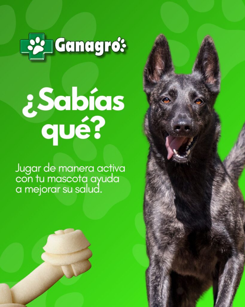 497190800_1256317053170146_7770971290931164027_n