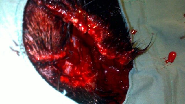 502746417_3555145714616441_8240485812416683881_n