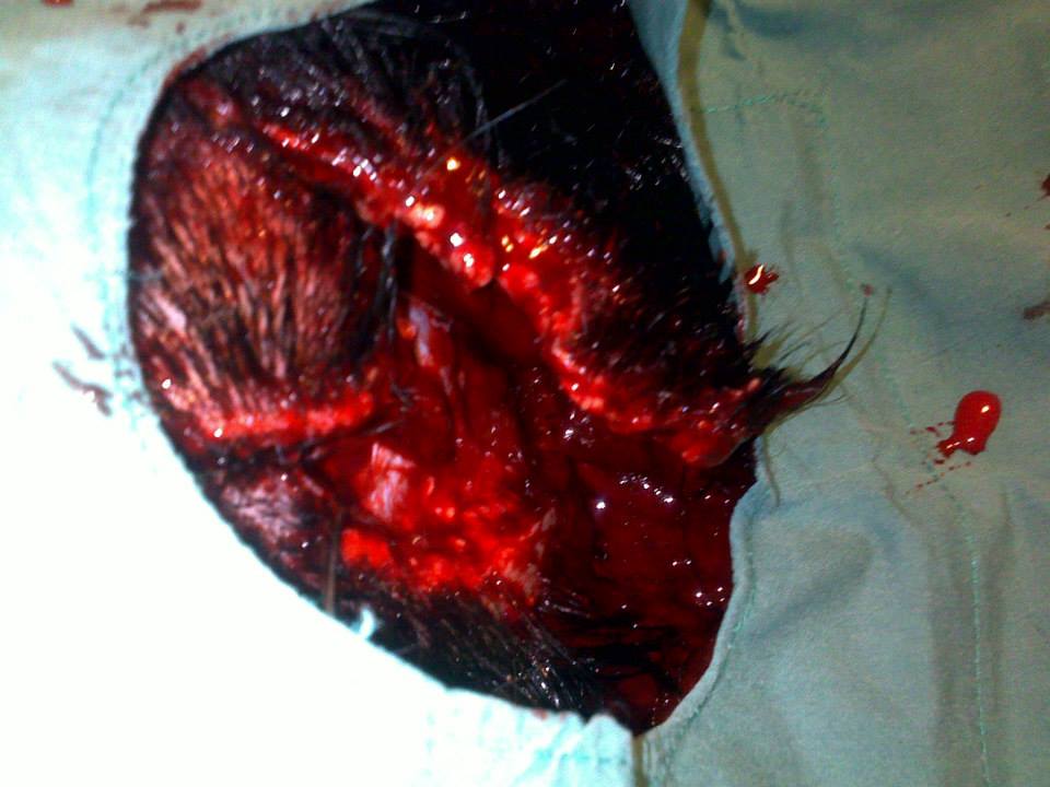 502746417_3555145714616441_8240485812416683881_n