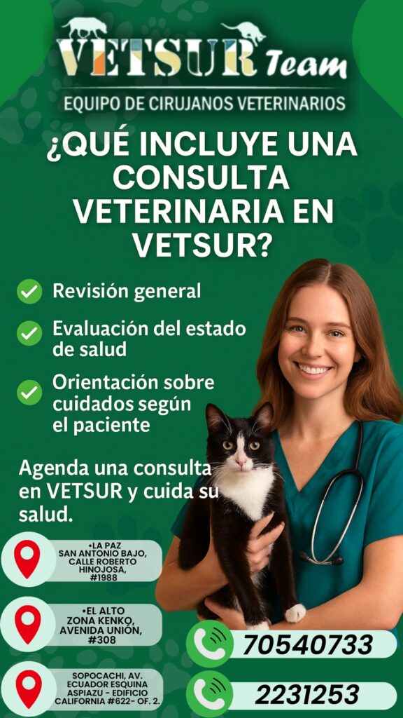 502896049_1513100950127508_2520903275583194355_n