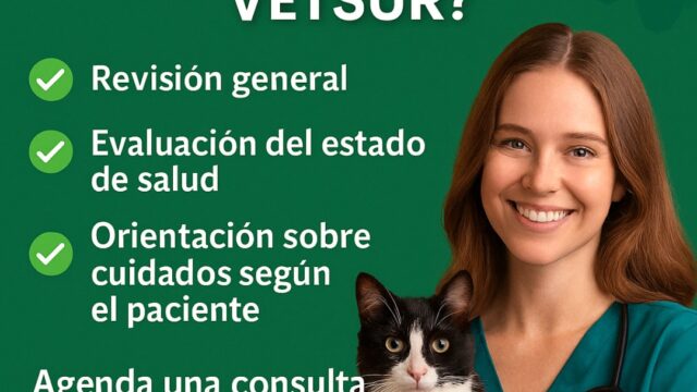 502896049_1513100950127508_2520903275583194355_n