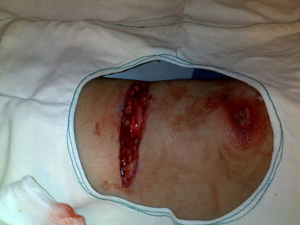 503254967_3555145704616442_4224476855710939794_n