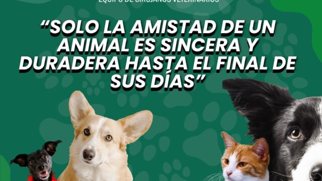 503266180_1512817103489226_4086348312843939169_n