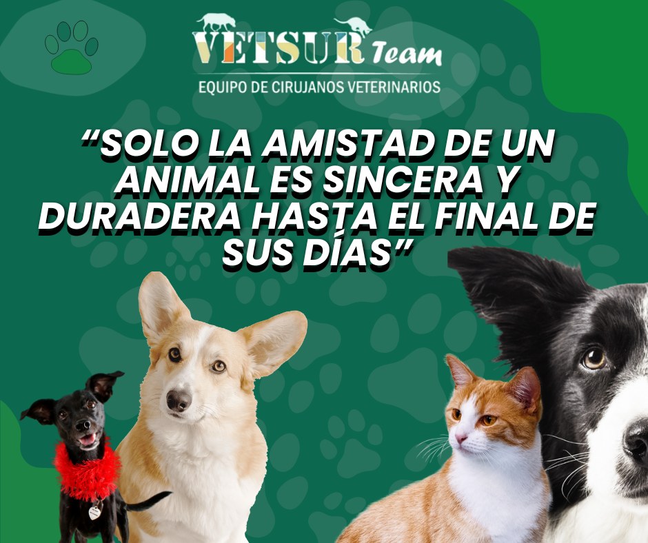 503266180_1512817103489226_4086348312843939169_n