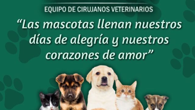 503449974_1513205670117036_7488491333232874825_n