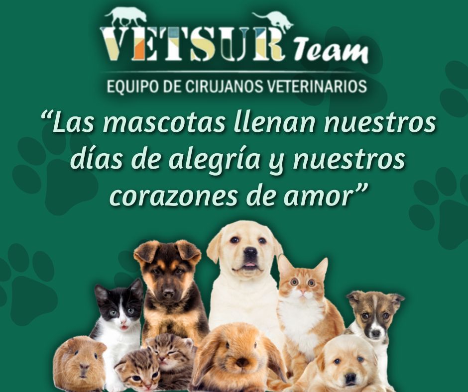 503449974_1513205670117036_7488491333232874825_n